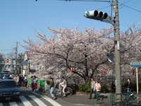  dscf0335.jpg 