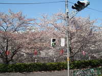  dscf0336.jpg 