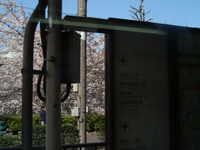  dscf0337.jpg 