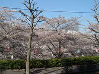  dscf0338.jpg 