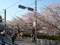  dscf0339.jpg 