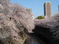  dscf0341.jpg 