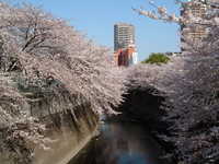  dscf0342.jpg 