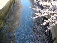  dscf0343.jpg 