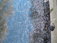  dscf0344.jpg 