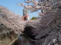  dscf0345.jpg 