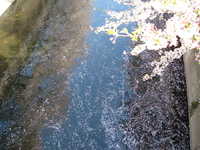  dscf0346.jpg 