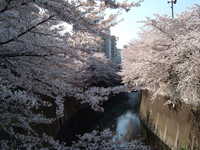  dscf0347.jpg 