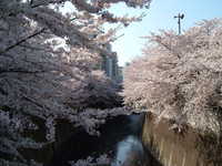  dscf0348.jpg 