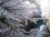  dscf0349.jpg 
