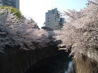 dscf0350.jpg 