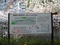  dscf0351.jpg 