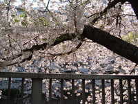  dscf0354.jpg 