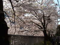  dscf0355.jpg 