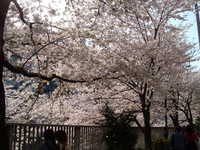  dscf0356.jpg 