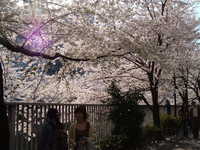  dscf0357.jpg 