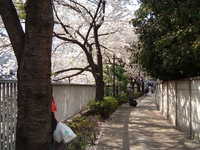  dscf0358.jpg 
