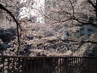  dscf0359.jpg 