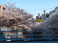  dscf0360.jpg 