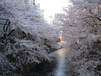  dscf0361.jpg 