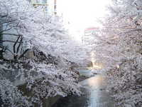  dscf0362.jpg 