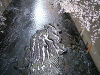  dscf0363.jpg 