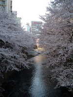  dscf0364p.jpg 