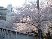  dscf0367.jpg 