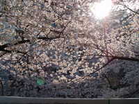  dscf0369.jpg 
