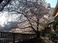  dscf0370.jpg 