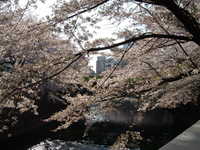 dscf0371.jpg 