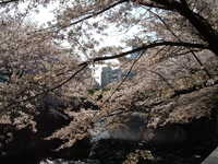  dscf0372.jpg 