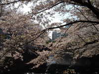  dscf0373.jpg 