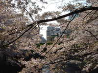  dscf0374.jpg 