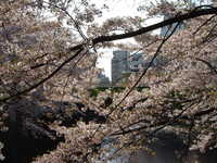  dscf0375.jpg 