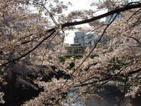  dscf0376.jpg 