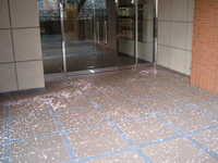  dscf0380.jpg 