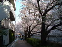  dscf0381.jpg 
