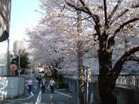  dscf0382.jpg 