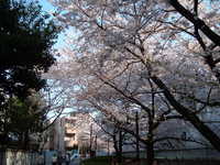  dscf0386.jpg 