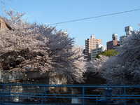  dscf0388.jpg 