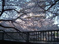  dscf0391.jpg 