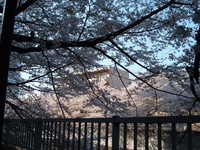  dscf0392.jpg 