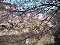  dscf0393.jpg 