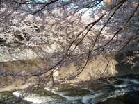 dscf0394.jpg 