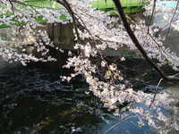  dscf0395.jpg 