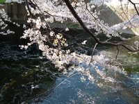  dscf0396.jpg 