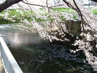  dscf0397.jpg 