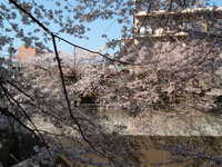  dscf0398.jpg 