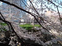 dscf0399.jpg 